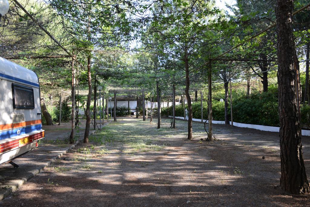 Villaggio La Pantera Rosa سكاليا المظهر الخارجي الصورة