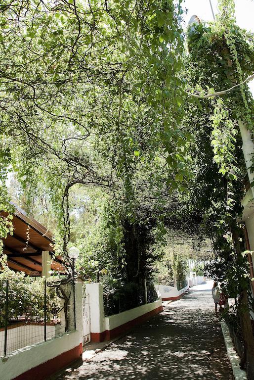 Villaggio La Pantera Rosa سكاليا المظهر الخارجي الصورة